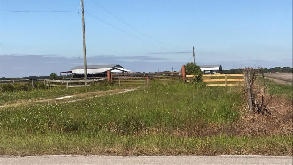 According to the Manatee County Sheriff's Office, a guard gate was broken and the horse was led away from its stable on Buckeye Road sometime between 5 p.m. Sunday and 8 a.m. Monday. (Angie Angers/Spectrum Bay News 9)