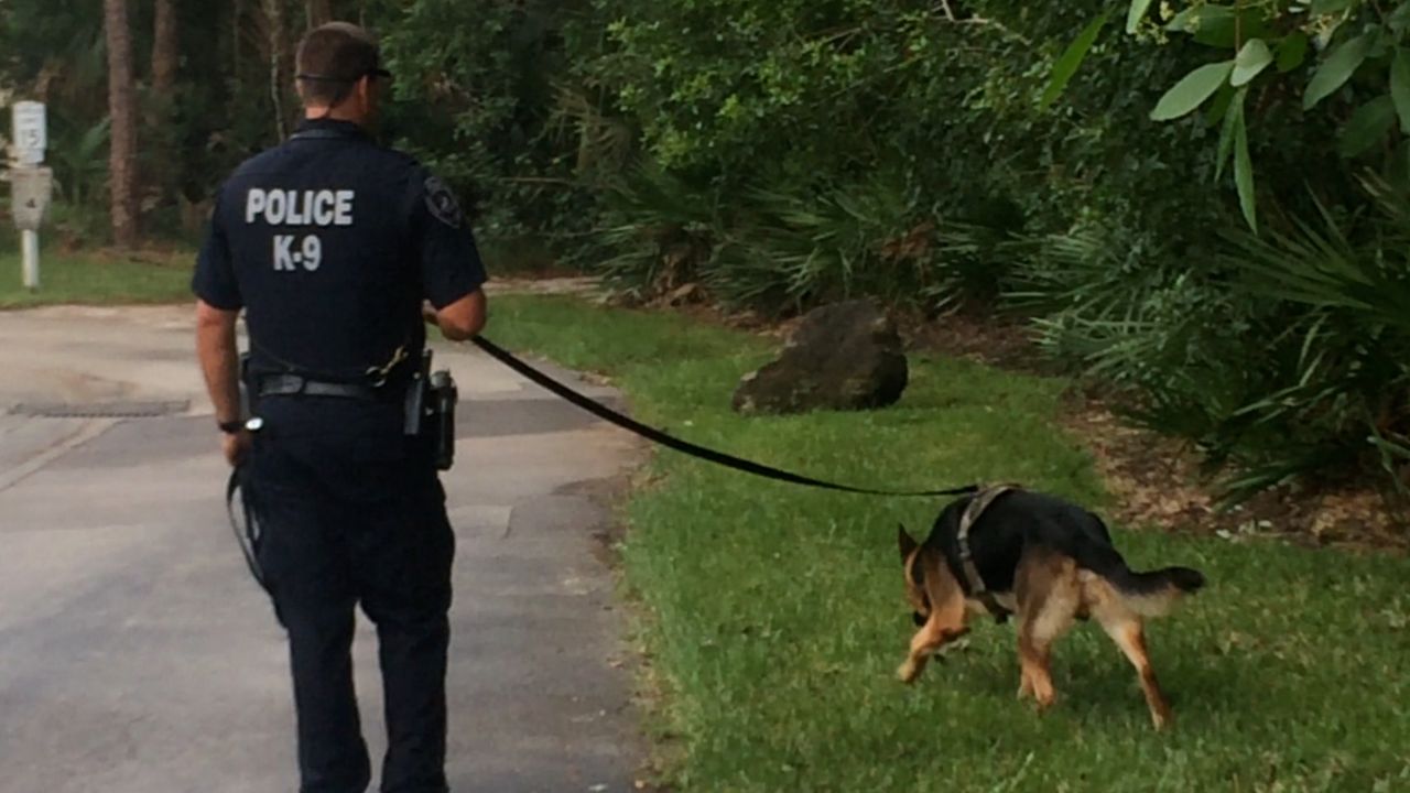 Cocoa Police Officer Dan Rhoades, along with his partner K9 Bear, entered a national K9 competition. (Krystel Knowles/Spectrum News 13)