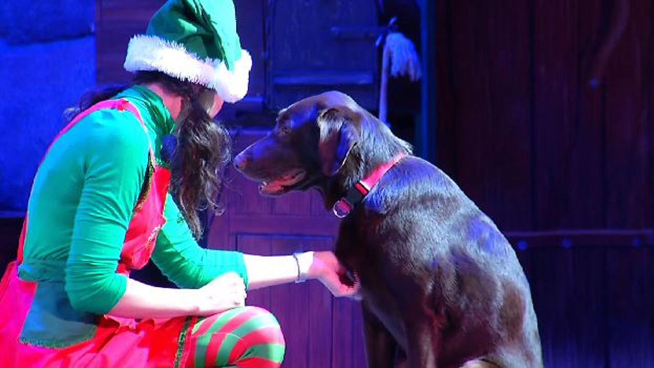 SeaWorld Orlando Christmas Celebration