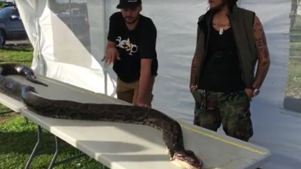 Jason Leon, center, captured a 17-foot Burmese python during a Florida hunt over the weekend. (South Florida Water Management District/Facebook)
