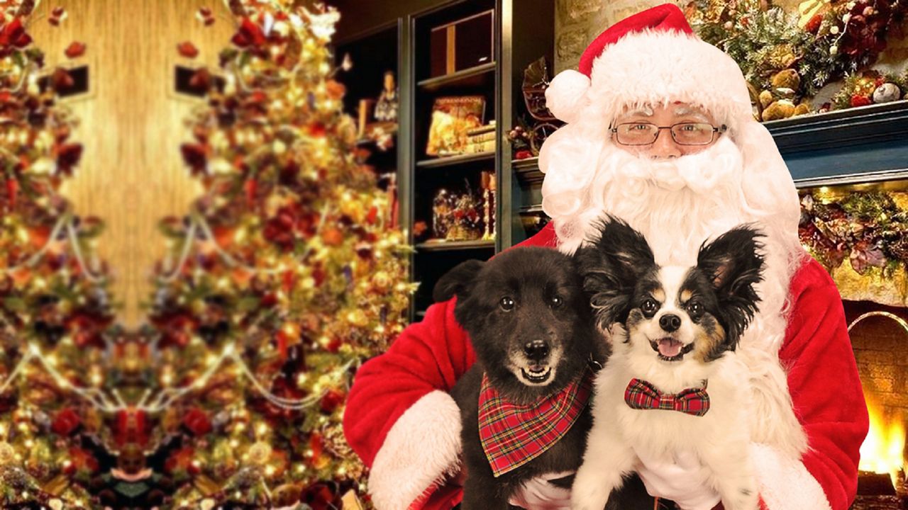 Get Pictures of Your Pets with Santa