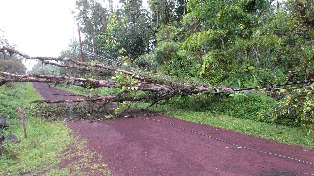 Hawaiian Electric - Maui County