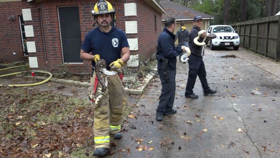 Firefighters save more than 100 snakes from Conroe house fire. (Courtesy: Caney Creek Fire & Rescue Facebook page)