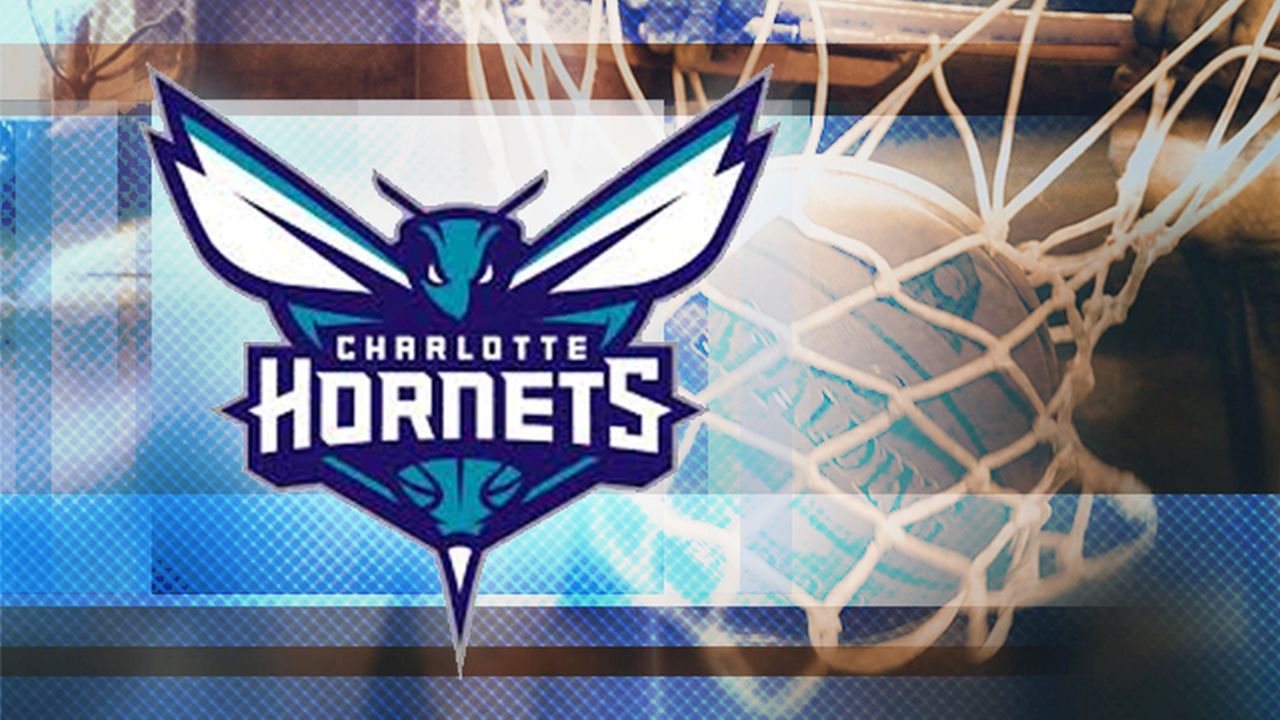 Hornets logo and basketball hoop