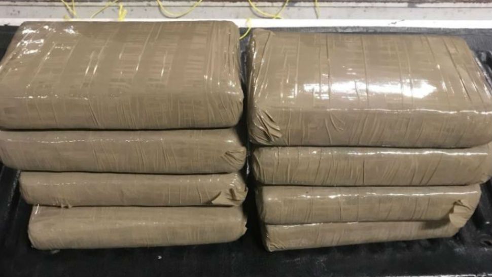 Wilco deputies seize 8 kilos of cocaine in I-35 traffic stop