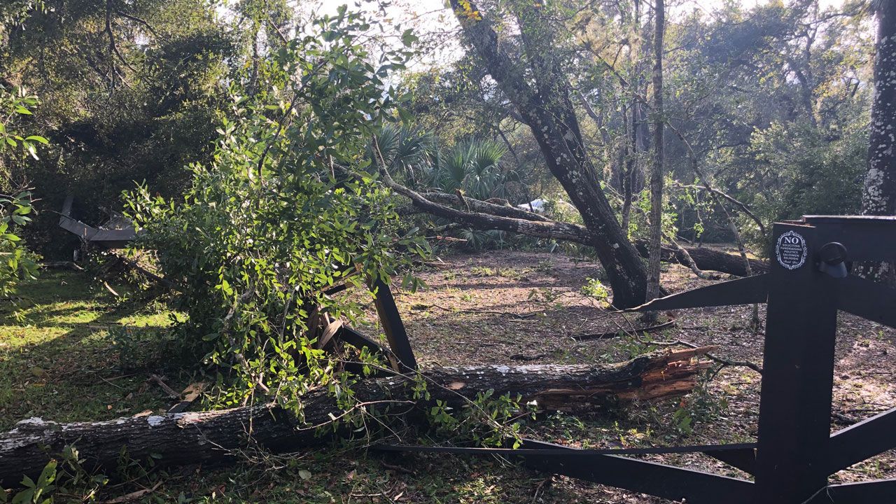Downed trees in a Flagler Beach neighborhood after early morning storms Saturday. (Vincent Earley, Spectrum News)