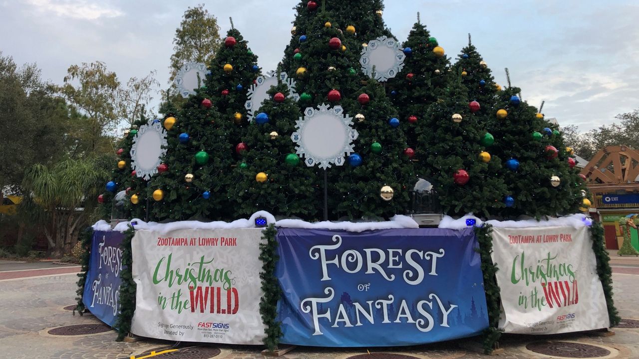 Lowry Park Zoo Christmas In The Wild 2022 Tankful: Zootampa's Christmas In The Wild Experience