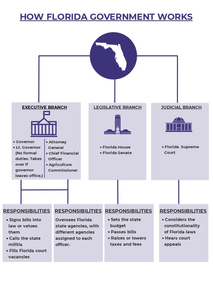 state government structure chart