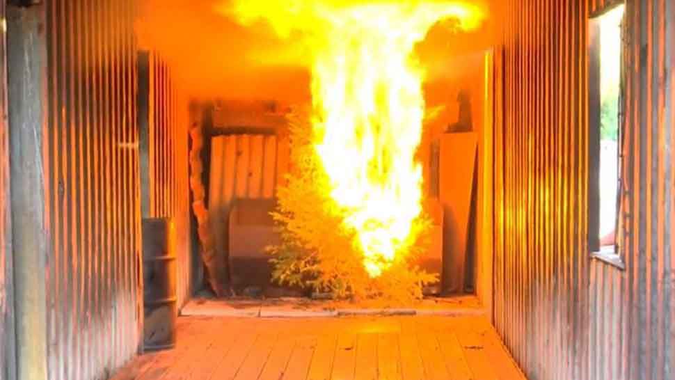 Mass Dept of Fire Services warns of Christmas tree fires - Vimarsana News