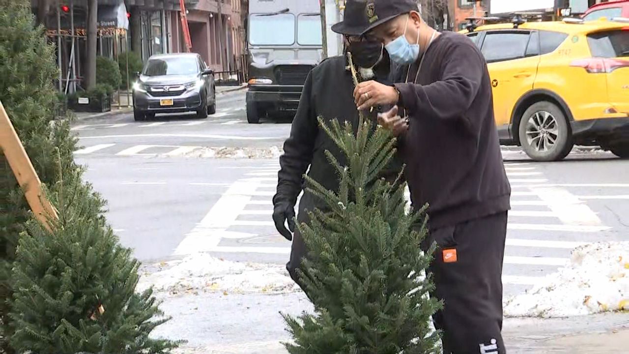 Christmas tree sale West Village Manhattan New York City