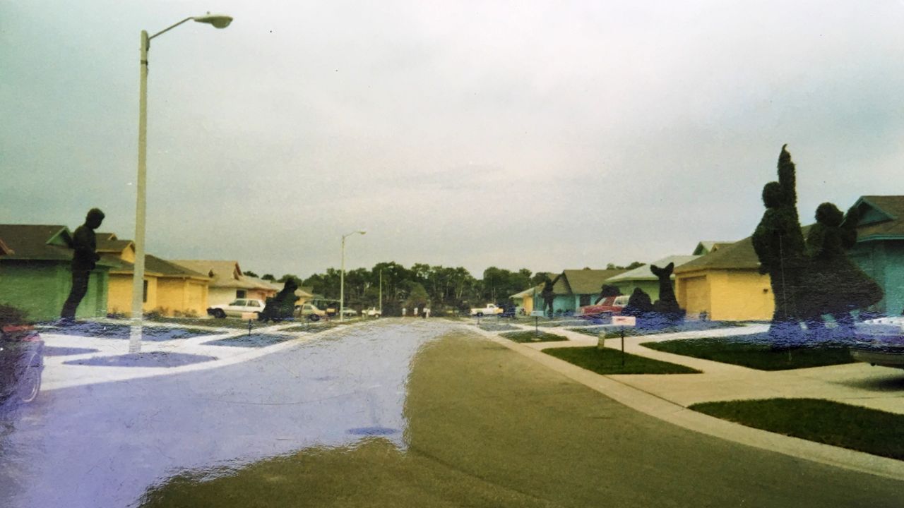 Edward Scissorhands Neighborhood 30 Years Later Pics vrogue.co