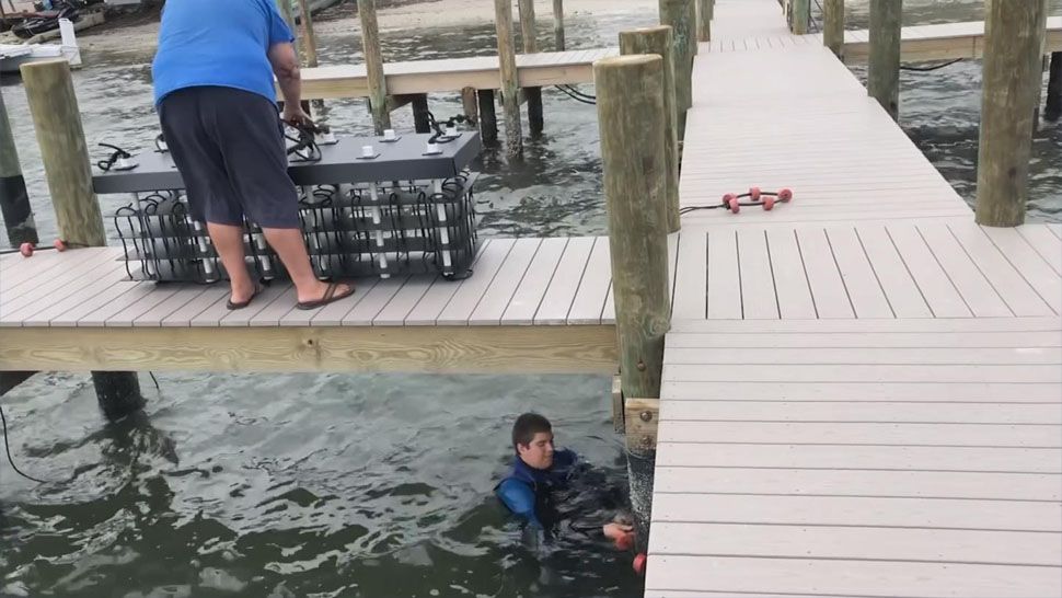 Mini Reef System Installed Around Anna Maria Island