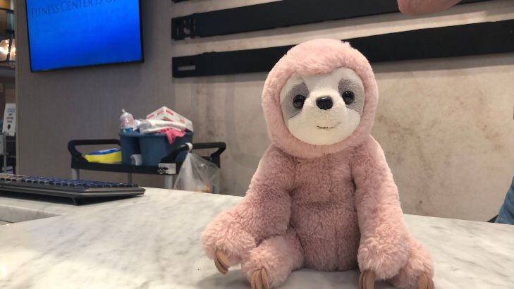 Lexington hotel works to reunite stuffed animal and owner