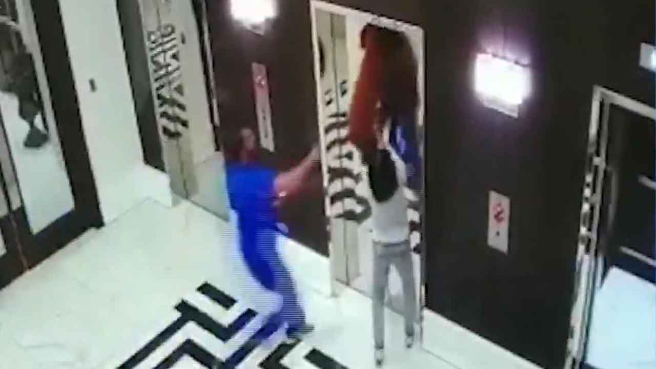 Video Man Frees Dog Whose Leash is Caught in Tampa Elevator