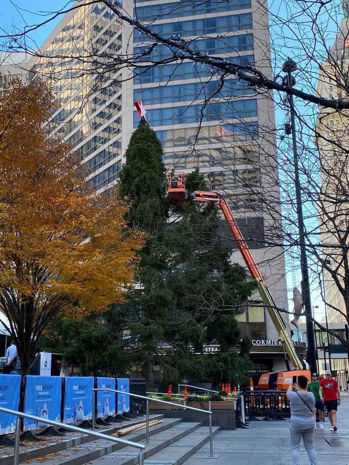 The Macy's Holiday Tree being installed at Fountain Square (Provided)