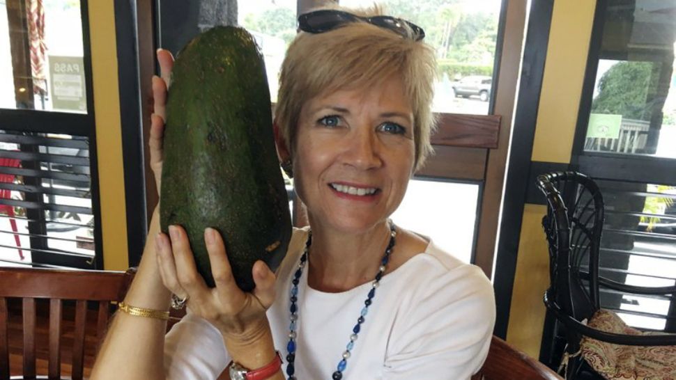 In this Nov. 28, 2017 photo, Pamela Wang poses for a photo in Kealakekua, Hawaii, with an avocado she found while on a walk. Wang is waiting to hear back from Guinness World Records to find out if the 5-pound (2.3-kilogram) avocado she snagged is the world’s largest. (AP Photo/Mary Lou Knurek)