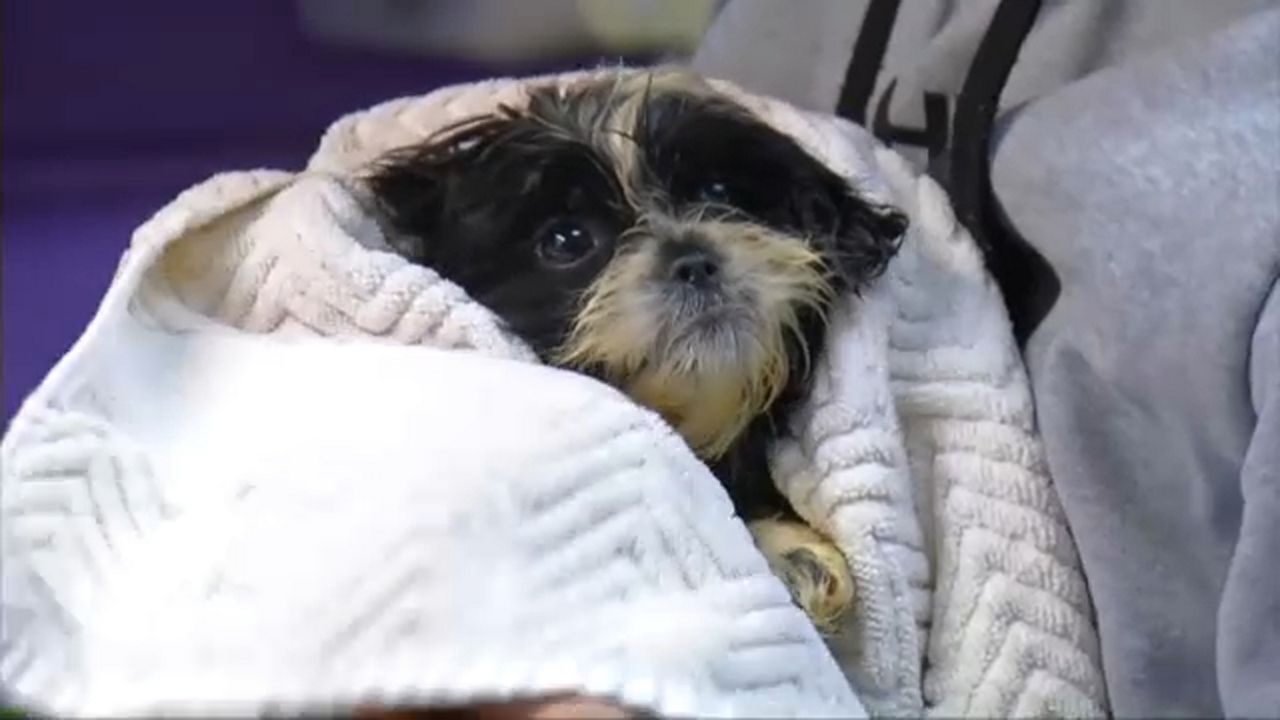 spca montgomery county