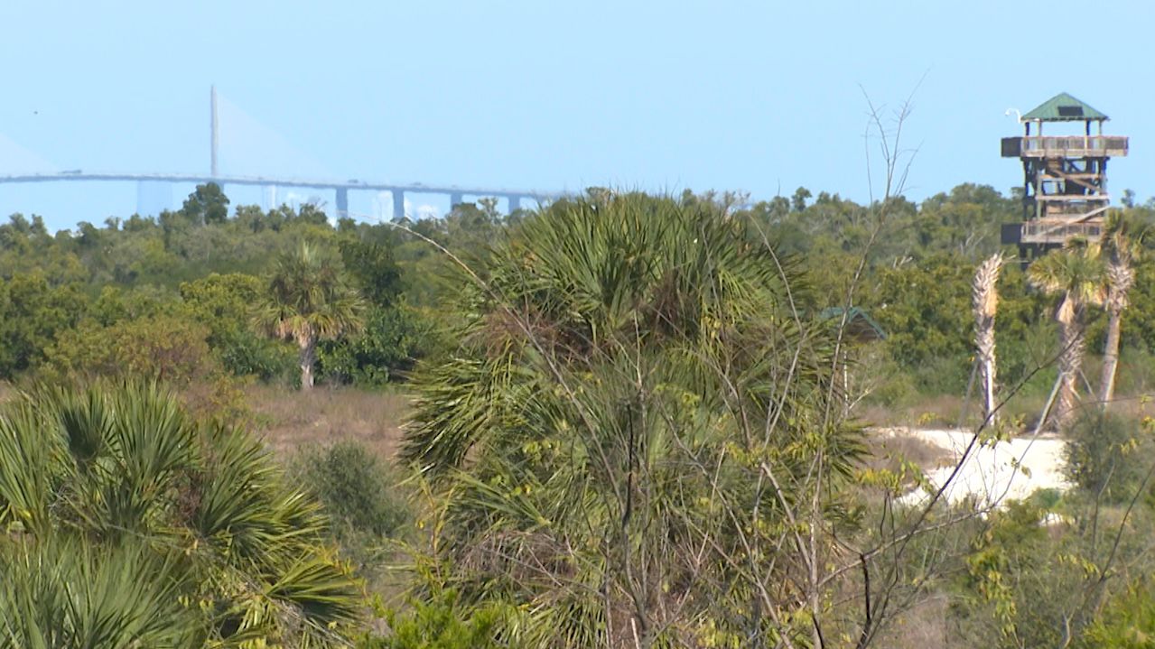 Robinson Preserve is coastal Florida farmland returned to the wild