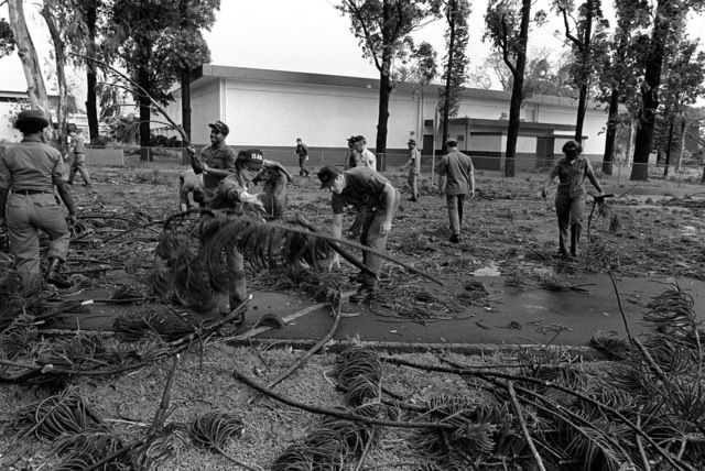 A clean-up crew picks up tree branches knocked down by Hurricane Iwa. (U.S. National Archive)