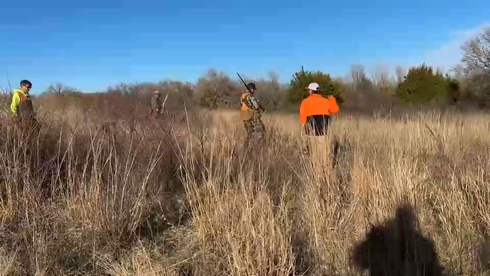 Organization devoted to protecting the Texas quail
