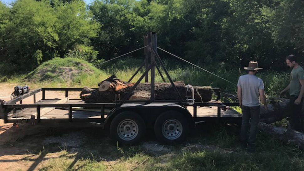 A log sits on a trailer waiting to be taken away. (Photo Credit: Austin Parks & Recreation)