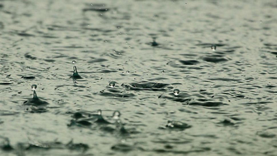 Photo of rain drops (Pixabay)