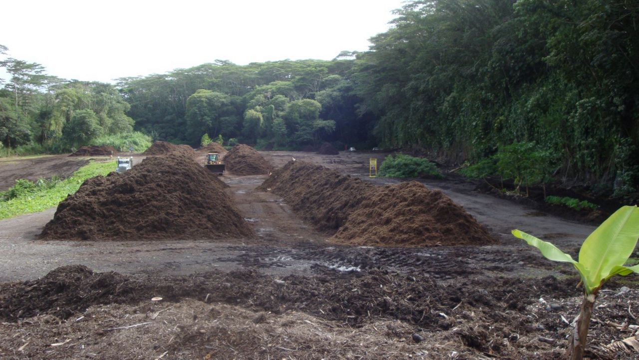 At the East Hawaii Organics Facility, green waste in windrows is processed into mulch. (Photo courtesy of the Hawaii County Department of Environmental Management)