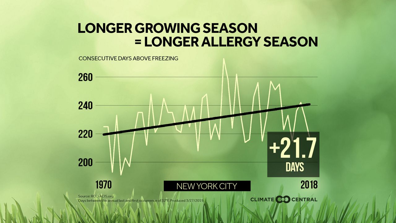 NYC now has a longer allergy season, but not for everyone