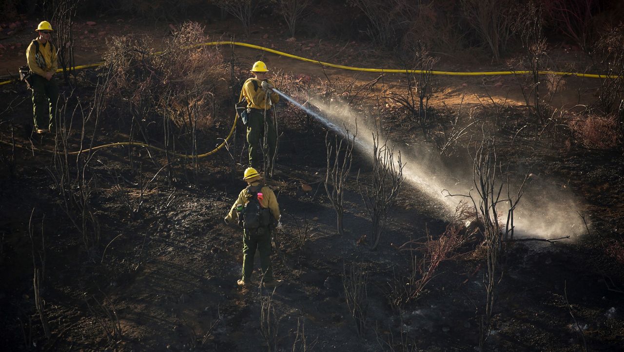 New York State's burn ban has begun