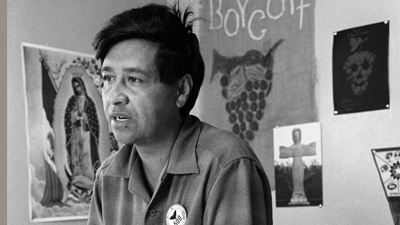 In this 1965 file photo, a Cesar Chavez, a farm worker labor organizer and leader of the California grape strike, speaks from a Delano, Calif., union office. A New Mexico state lawmaker is proposing a state holiday in honor of the Yuma, Arizona-born Chavez and the late U.S. Sen. Dennis Chavez of New Mexico. (AP Photo, George Brich, File)