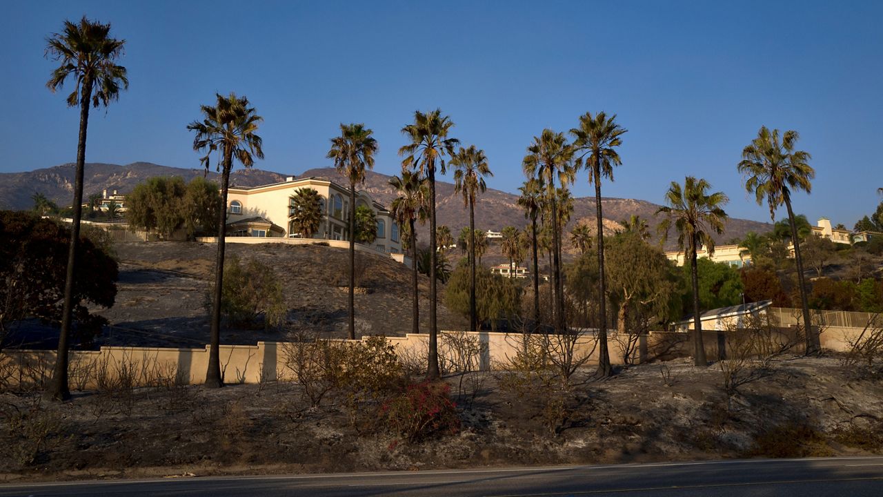 In this November 10, 2018, file photo, a house untouched by fire sits on a hill behind burned palm trees lining the Pacific Coast Highway outside of Malibu.  (AP Photo/Richard Vogel)