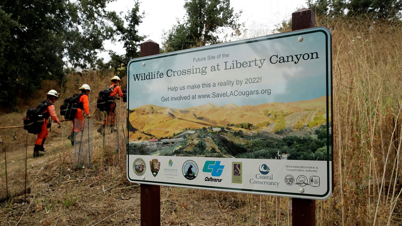 In this July 25, 2019, file photo, a fire crew walks past a sign at a proposed site for a wildlife crossing in Agoura Hills, Calif. (AP Photo/Marcio Jose Sanchez)