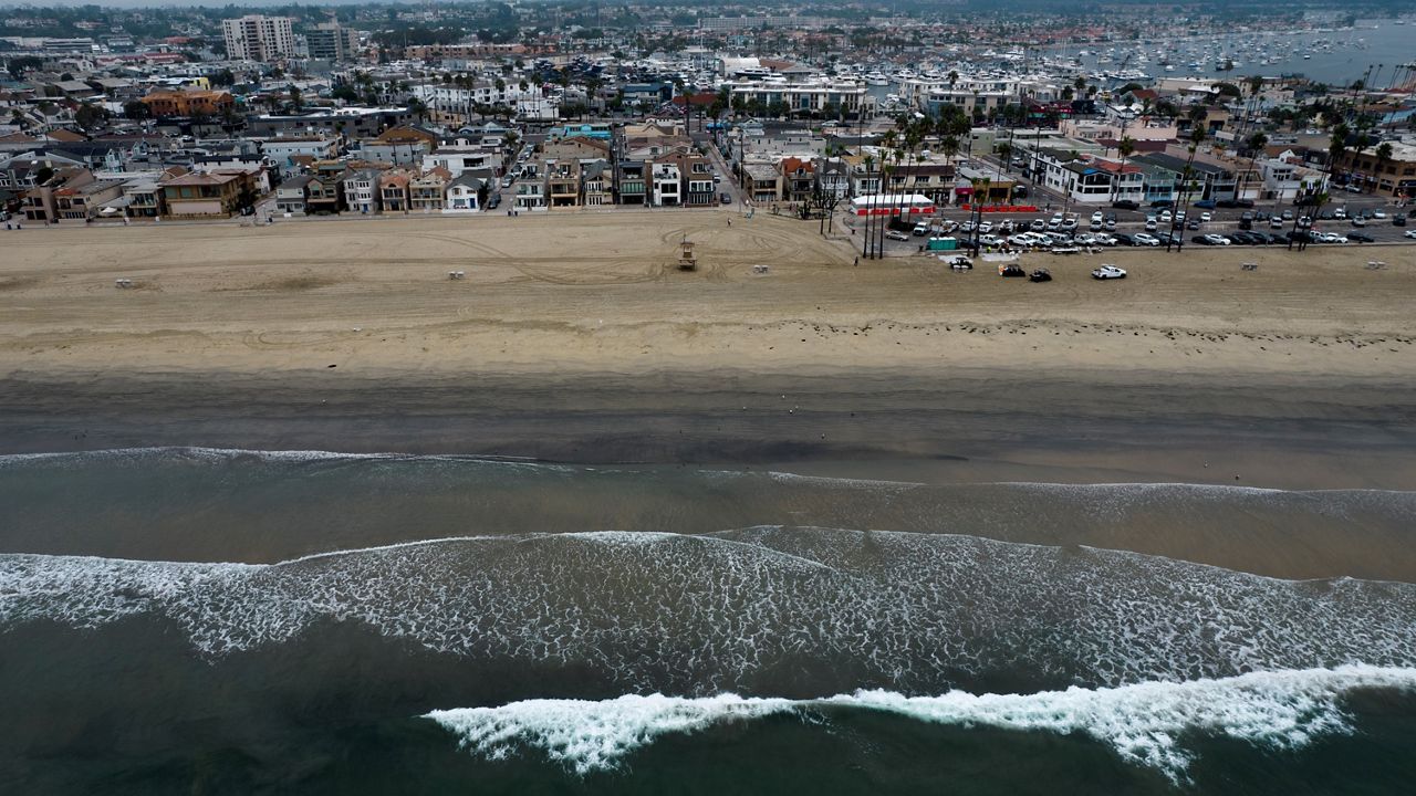 A local sea bass conservation in Newport harbor has stalled after oil spill threatens wild life