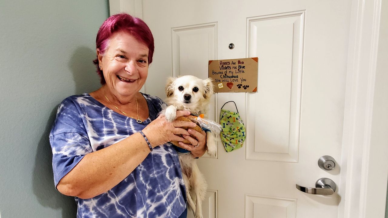 El Verano Apartments gives homeless seniors a home