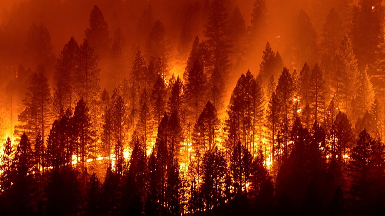 In this Aug. 13, 2021, file photo, the Dixie Fire burns down a hillside toward Diamond Mountain Road near Taylorsville in Plumas County, Calif. (AP Photo/Noah Berger)