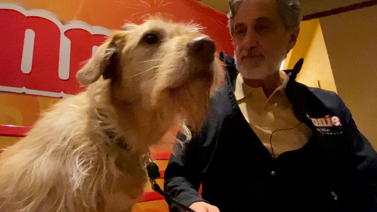 Sandy's canine clippers sales