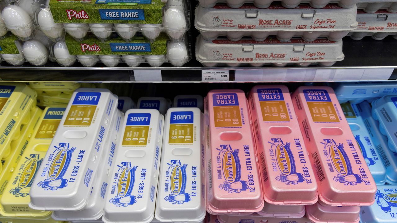 As egg prices continue to soar, grocers limit how many cartons customers can buy