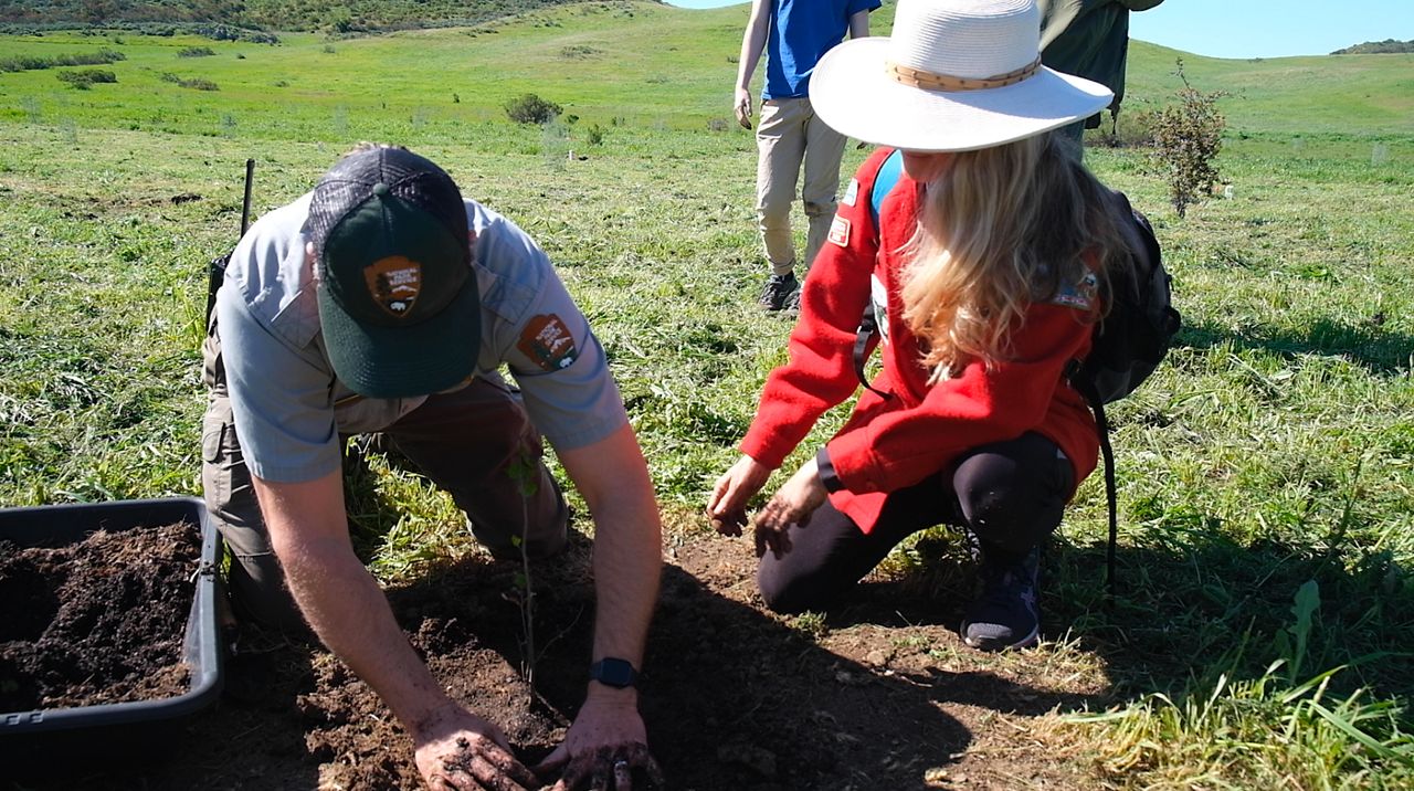 Native plant project reaches 2year milestone