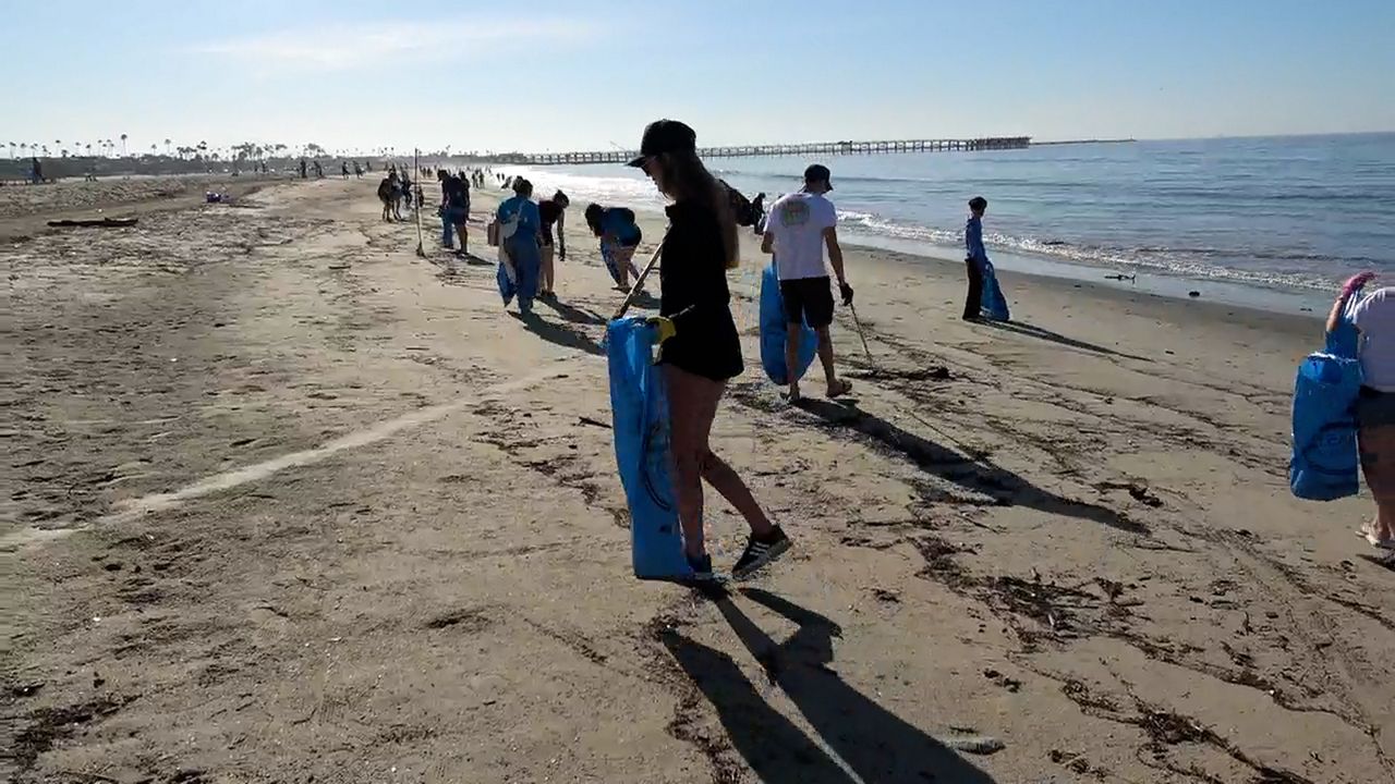 Volunteers with blue bags and trash picking tools line the coast between the jetty and the Seal Beach pier. (Spectrum News/Jo Kwon)