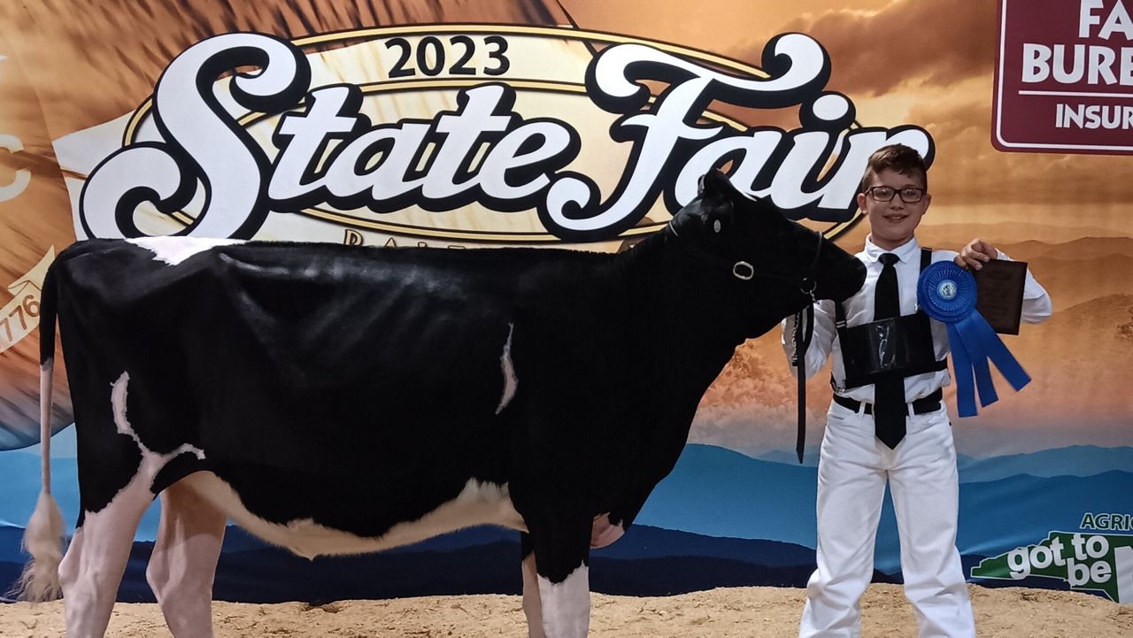 Rilen showing cows at the N.C. State Fair. (Heather and Jason Wright)