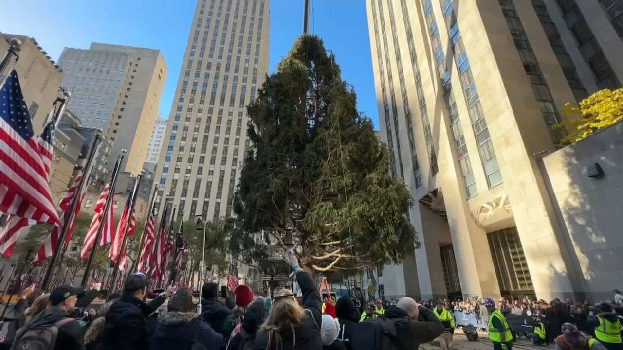 Rockefeller Christmas tree arrives in city