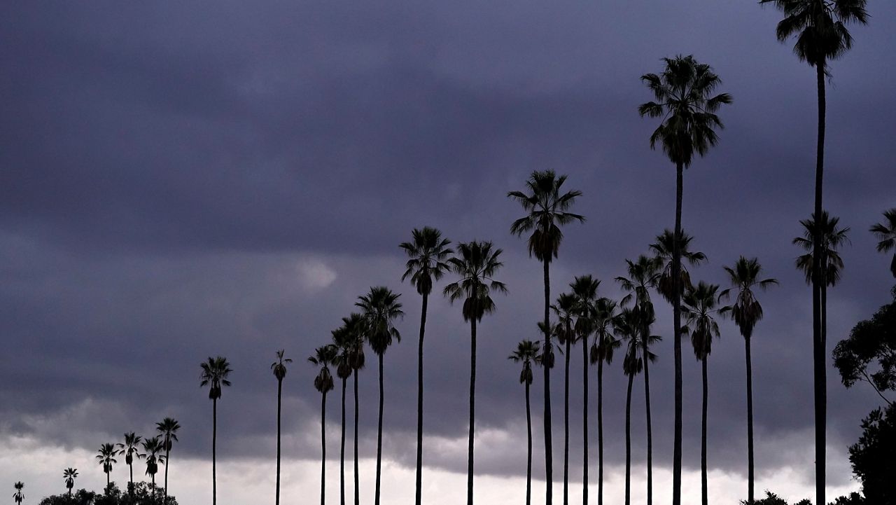 urban forestry division StreetsLA Los Angeles Department of Public Works drought flooding extreme weather downed trees