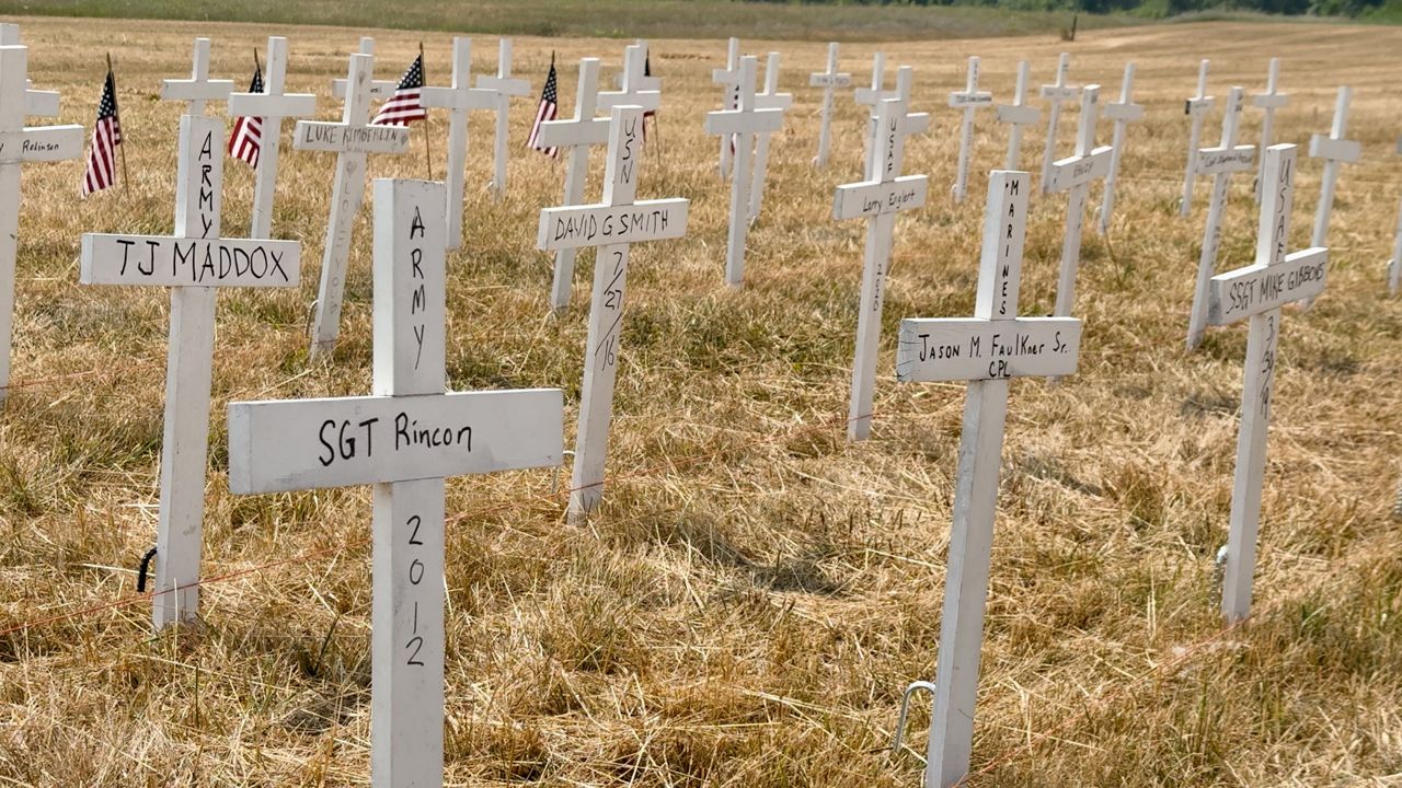 Crosses appear in a field in Comstock Park, Mich., in honor of veterans lost to suicide in this image from July 14, 2025. (Spectrum News/Brian Farber)