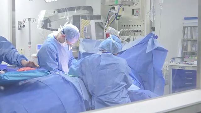 Local hospital launches nation's first fellowship for doctors to learn ...