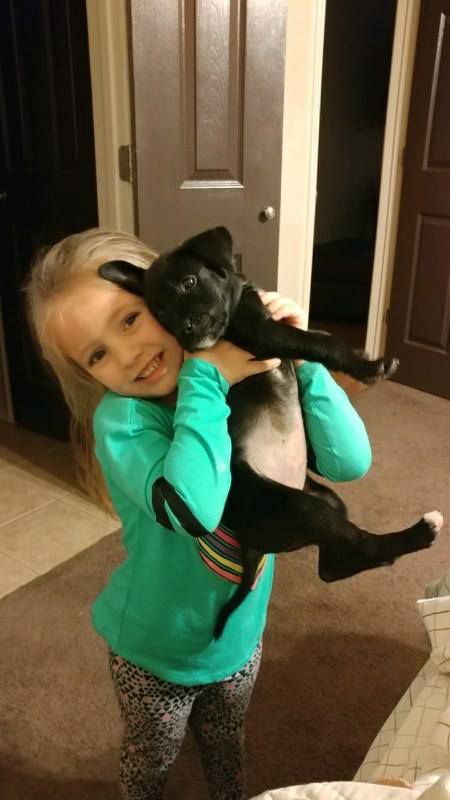 Spectrum News viewer Dana Stephens-Foster shared this photo of her 4-year-old niece and her adopted fur baby Gipsy. 