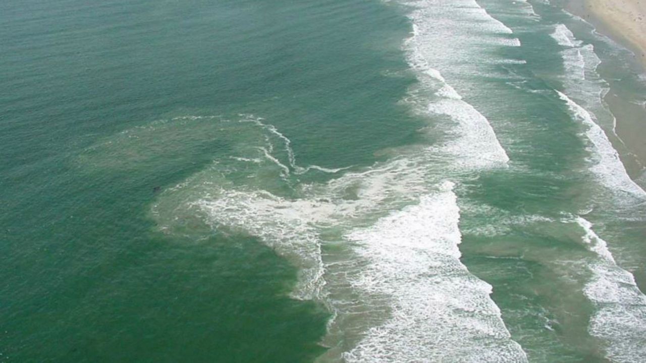 Heading to the Beach? Watch for Rip Currents