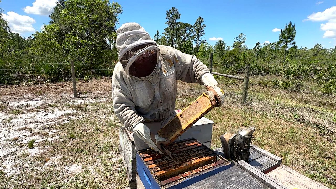 4th generation St. Cloud beekeeper uses old and new techniques to produce all-natural honey