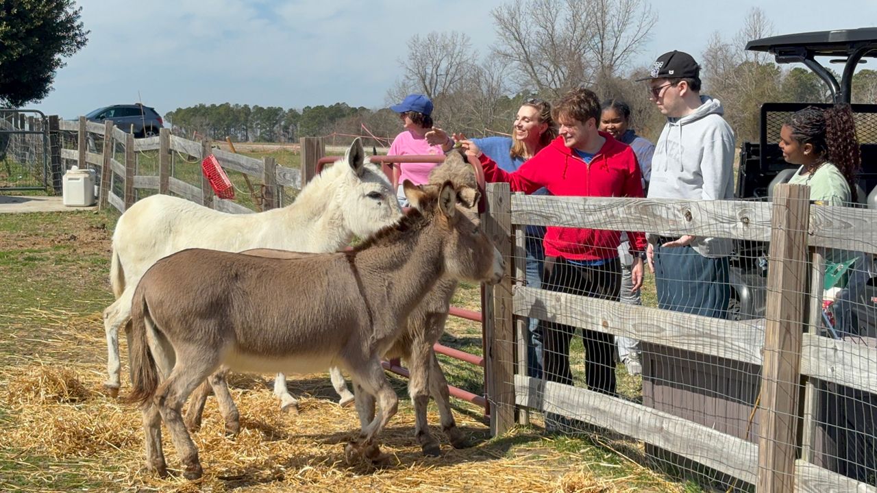 Wake County farm a haven for adults and kids on the autism spectrum