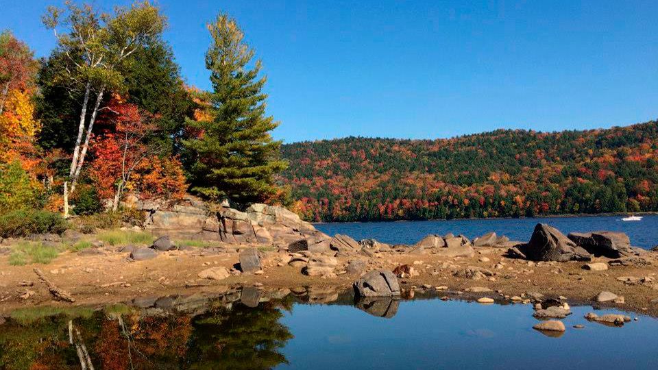 adirondack foliage