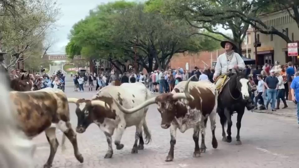 The Fort Worth Herd is hiring